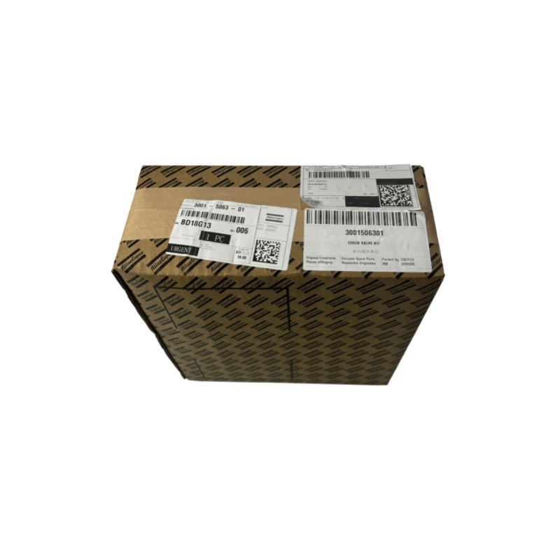 3001506301 original Atlas Copco Oil Compressors Kit de válvula de retención