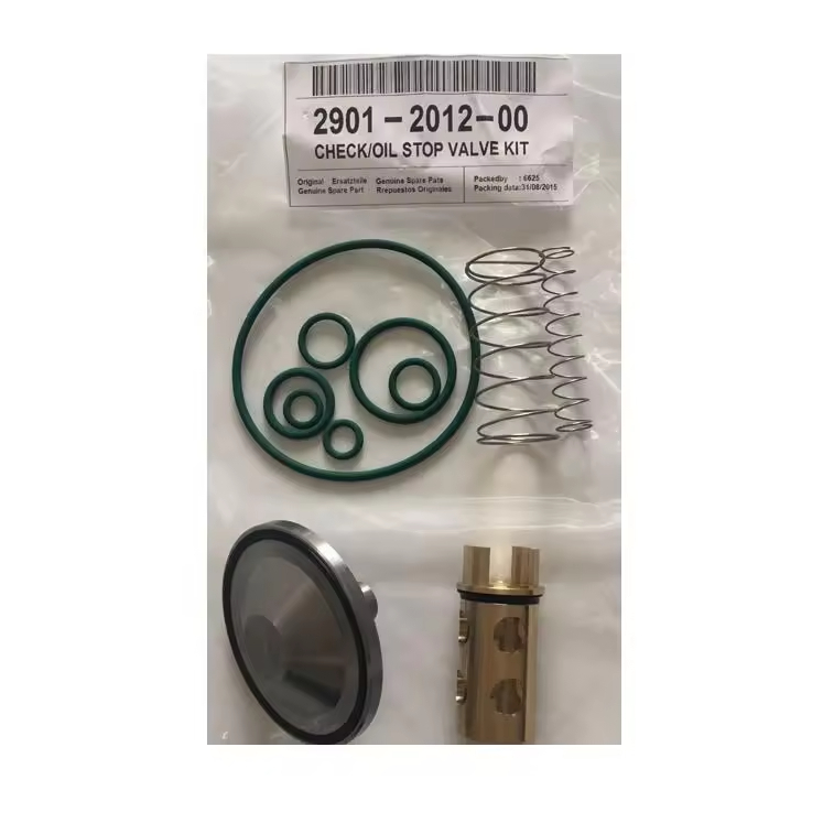 Kits de servicio de válvula de retención de alta calidad en stock de aceite para Atlas Copco 2901021200
